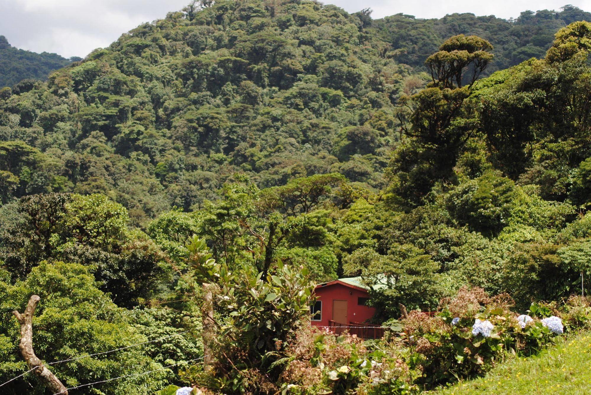 Vistaverde Lodge Monteverde Zewnętrze zdjęcie