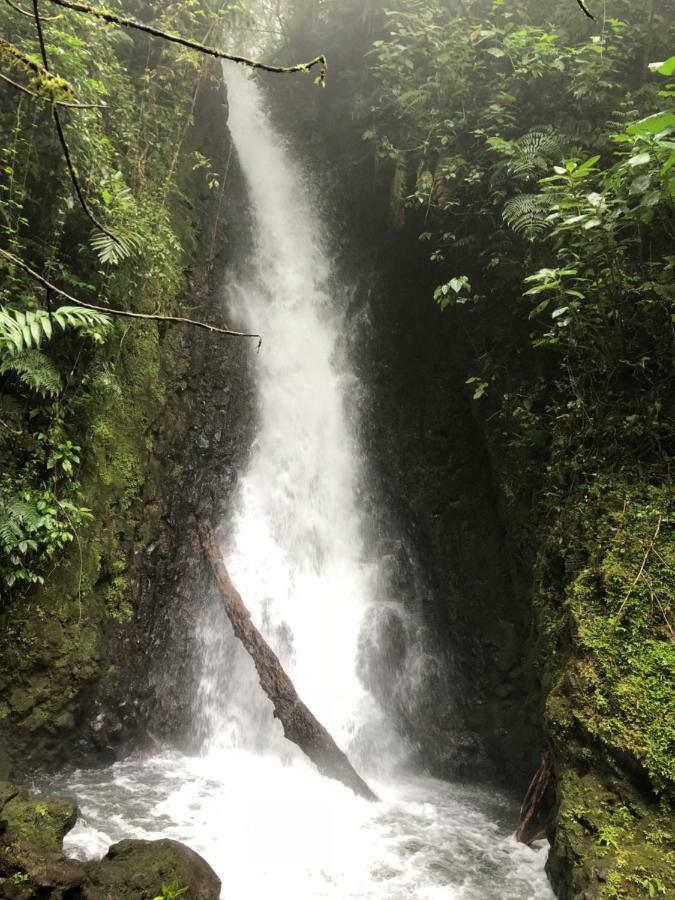 Vistaverde Lodge Monteverde Zewnętrze zdjęcie